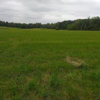 Letson Park - Lake, MI