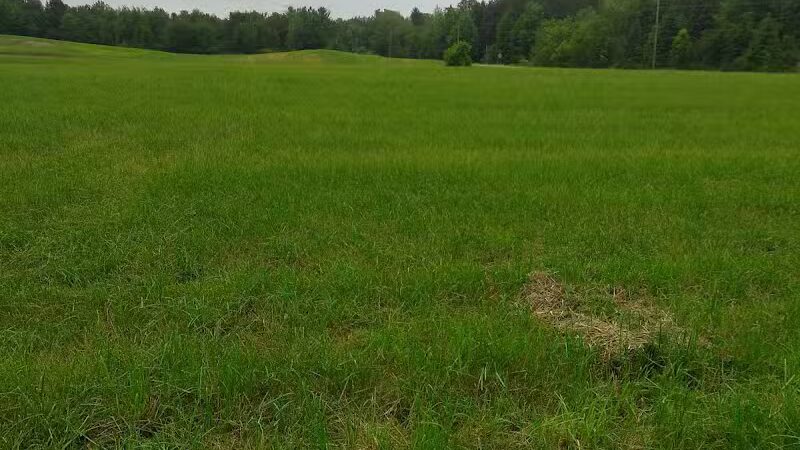 Letson Park - Lake, MI