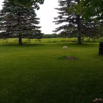 Letson Park - Lake, MI