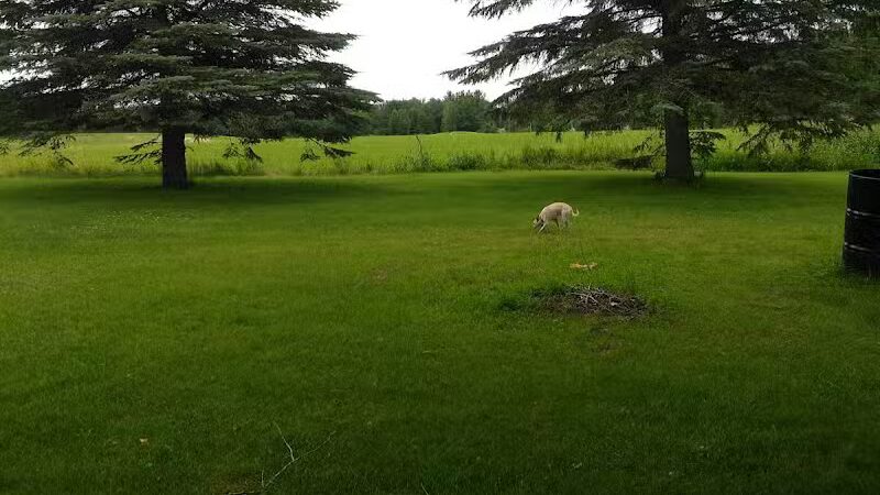 Letson Park - Lake, MI