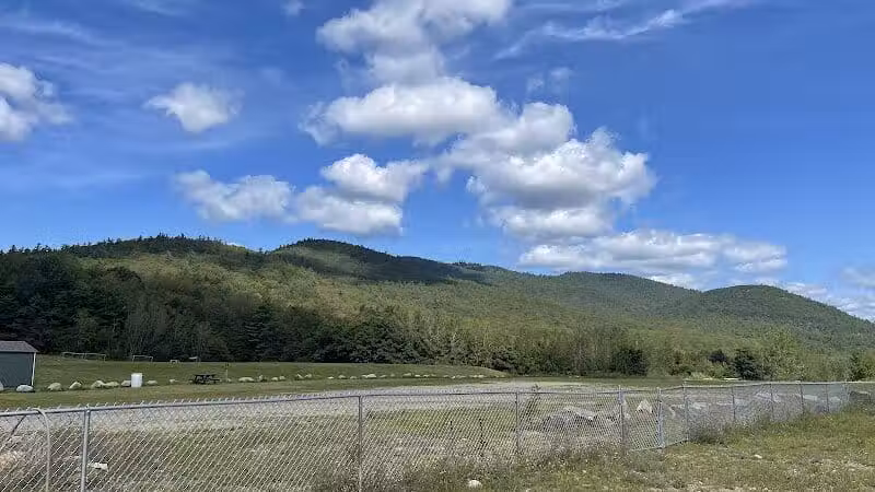 Lake George Dog Park - Lake Luzerne, MI