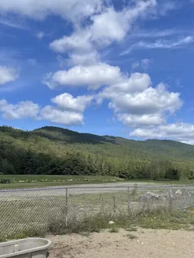 Lake George Dog Park - Lake Luzerne, MI
