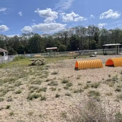 Lake George Dog Park - Lake Luzerne, MI