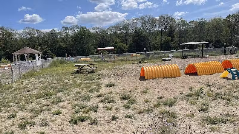 Lake George Dog Park - Lake Luzerne, MI
