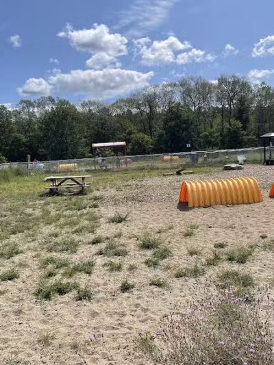 Lake George Dog Park - Lake Luzerne, MI
