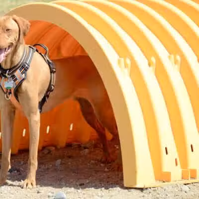 Lake George Dog Park - Lake Luzerne, MI