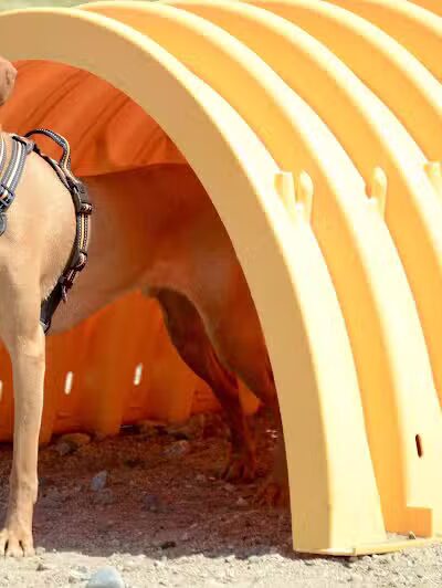 Lake George Dog Park - Lake Luzerne, MI