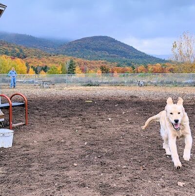 Lake George Dog Park - Lake Luzerne, NY