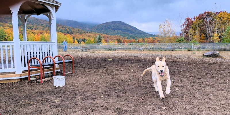 Lake George Dog Park - Lake Luzerne, NY