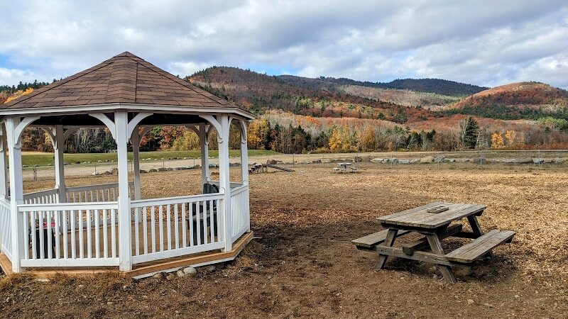 Lake George Dog Park - Lake Luzerne, NY