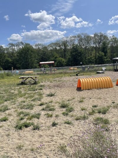 Lake George Dog Park - Lake Luzerne, NY