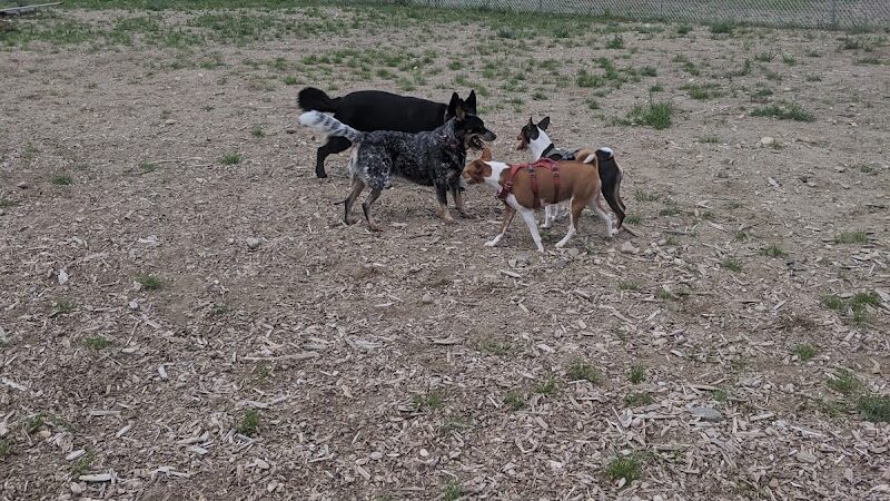 Lake George Dog Park - Lake Luzerne, NY