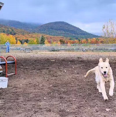 Lake George Dog Park - Lake Luzerne, NY