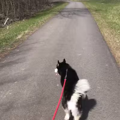 Jordan Lake Trail - Lake Odessa,