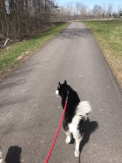 Jordan Lake Trail - Lake Odessa,