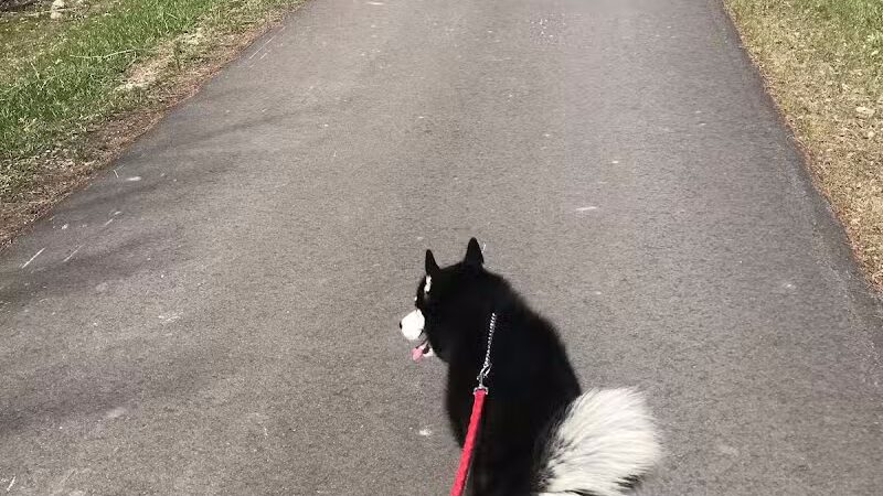 Jordan Lake Trail - Lake Odessa,