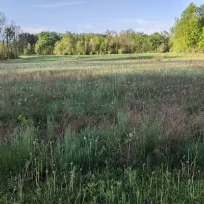 Jordan Lake Trail - Lake Odessa,