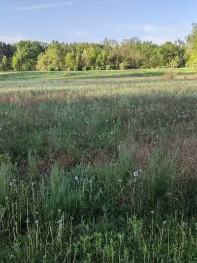 Jordan Lake Trail - Lake Odessa,
