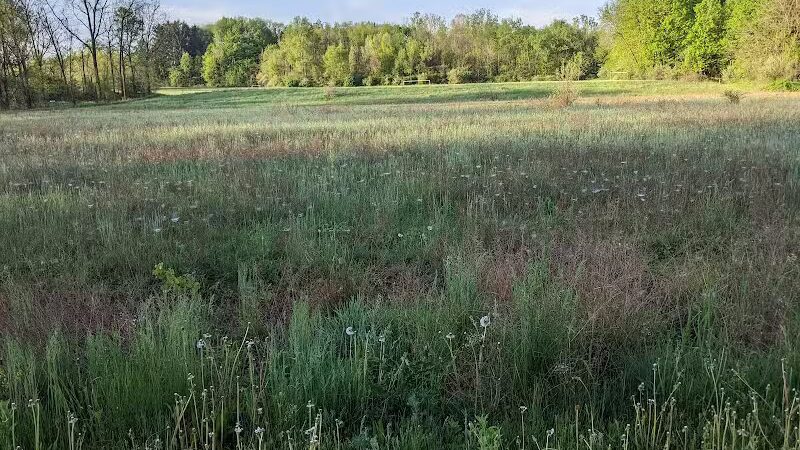 Jordan Lake Trail - Lake Odessa,