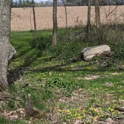 Jordan Lake Trail - Lake Odessa,