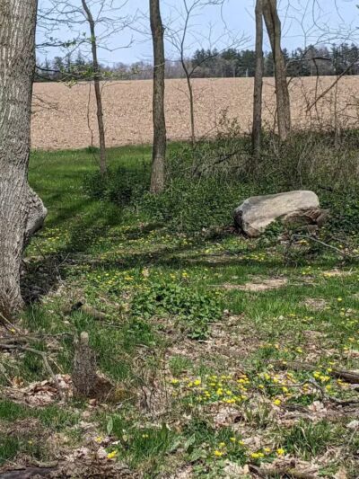 Jordan Lake Trail - Lake Odessa,