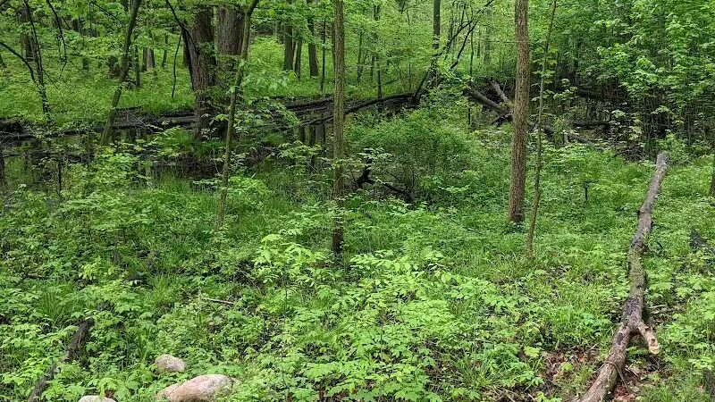 Jordan Lake Trail - Lake Odessa,