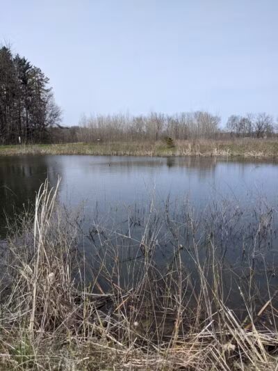 Jordan Lake Trail - Lake Odessa,