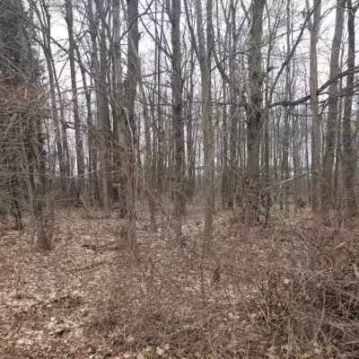 Jordan Lake Trail - Lake Odessa,