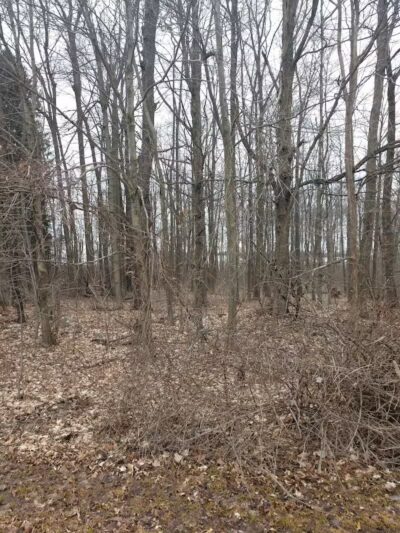 Jordan Lake Trail - Lake Odessa,