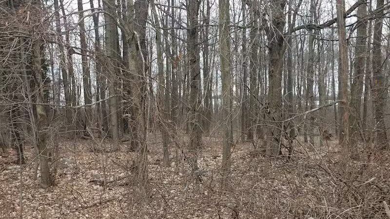 Jordan Lake Trail - Lake Odessa,