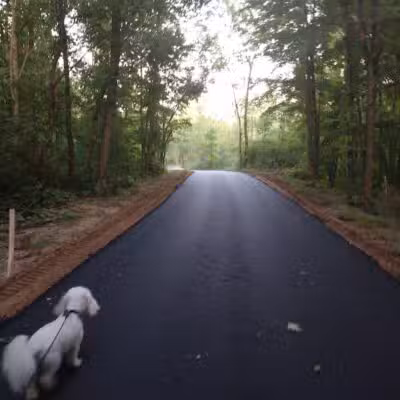 Jordan Lake Trail - Lake Odessa,