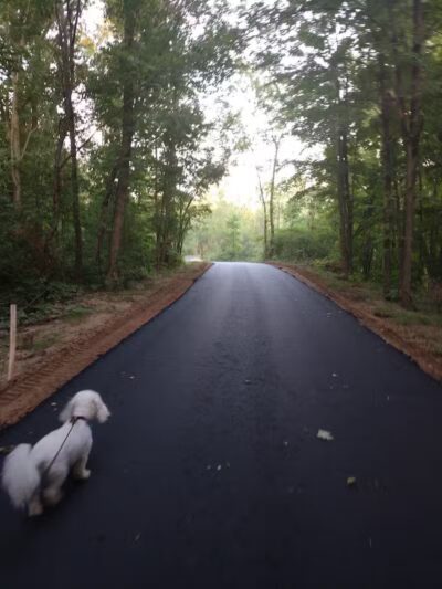 Jordan Lake Trail - Lake Odessa,