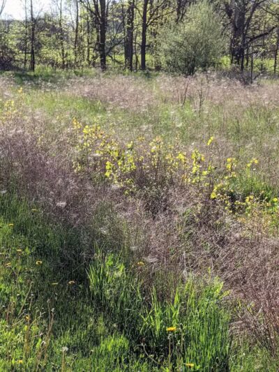 Jordan Lake Trail - Lake Odessa,
