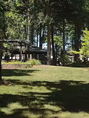 Lake Odessa Village Park - Lake Odessa,