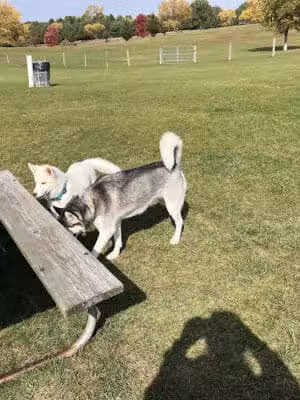 Orion Oaks County Park - Lake Orion, MI
