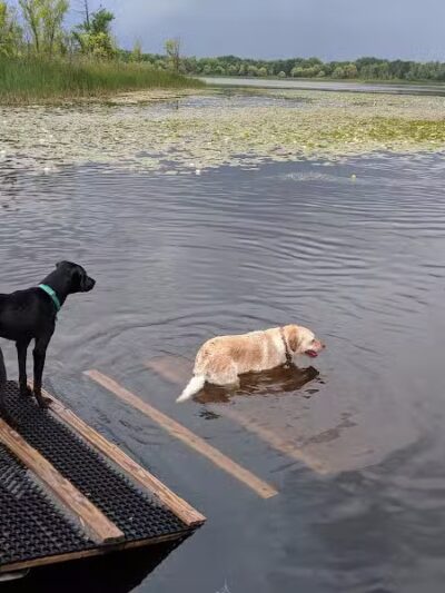 Orion Oaks County Park - Lake Orion, MI