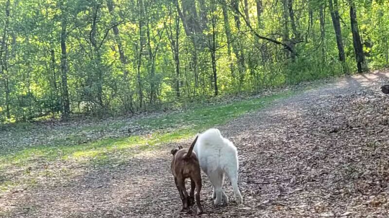 Orion Oaks County Park - Lake Orion, MI