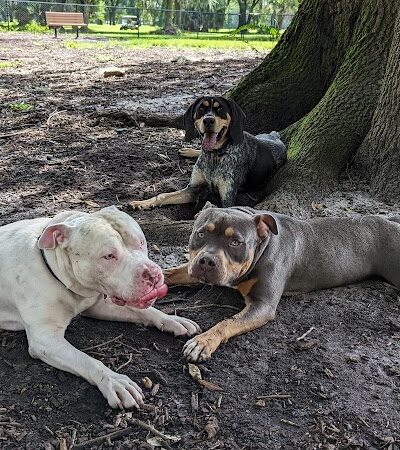 Dog Leg Woods - Lakeland, FL