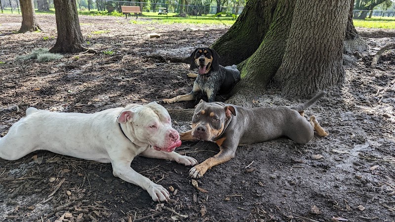 Dog Leg Woods - Lakeland, FL