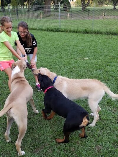 Dog Leg Woods - Lakeland, FL