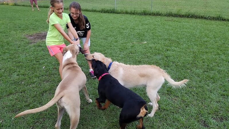 Dog Leg Woods - Lakeland, FL