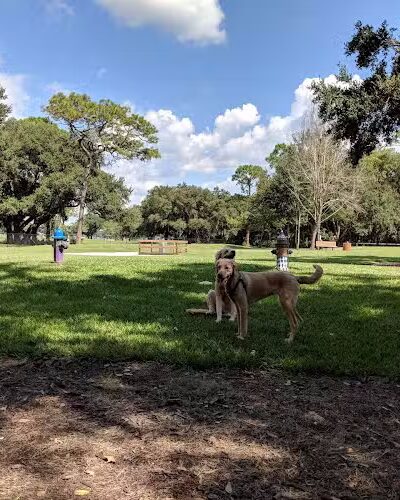 Dog Leg Woods - Lakeland, FL