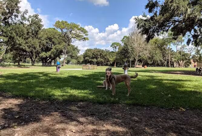 Dog Leg Woods - Lakeland, FL