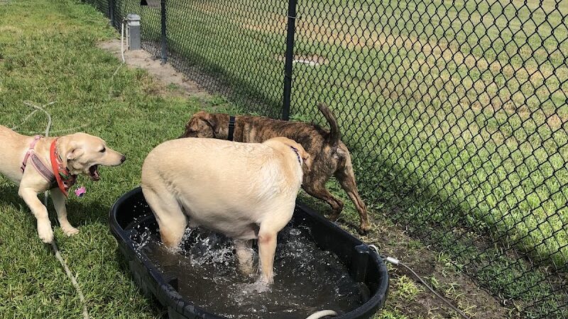 Lake Crago Dog Park - Lakeland, FL