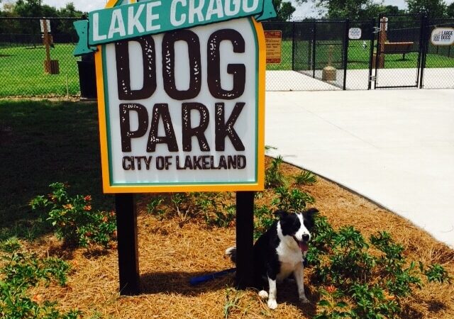 Lake Crago Dog Park - Lakeland, FL