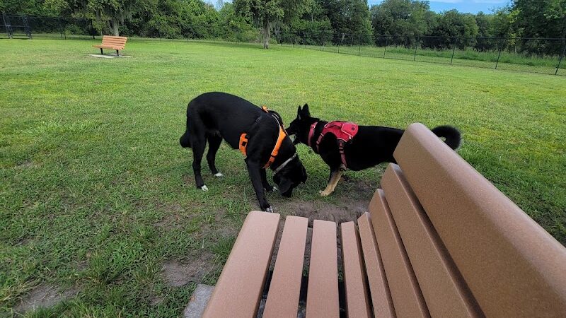 Lake Crago Dog Park - Lakeland, FL