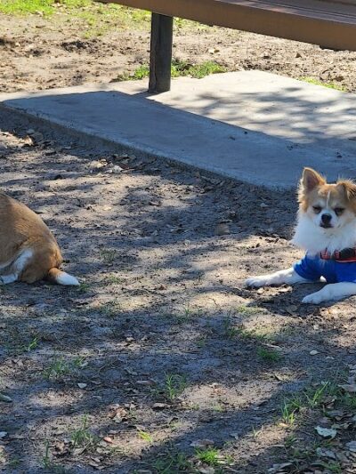 Lake Crago Dog Park - Lakeland, FL