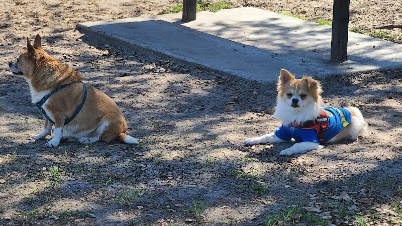 Lake Crago Dog Park - Lakeland, FL