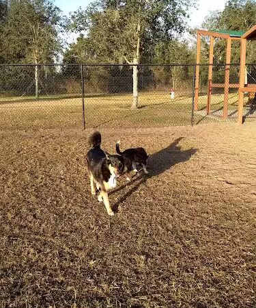 Lake Crago Dog Park - Lakeland, FL