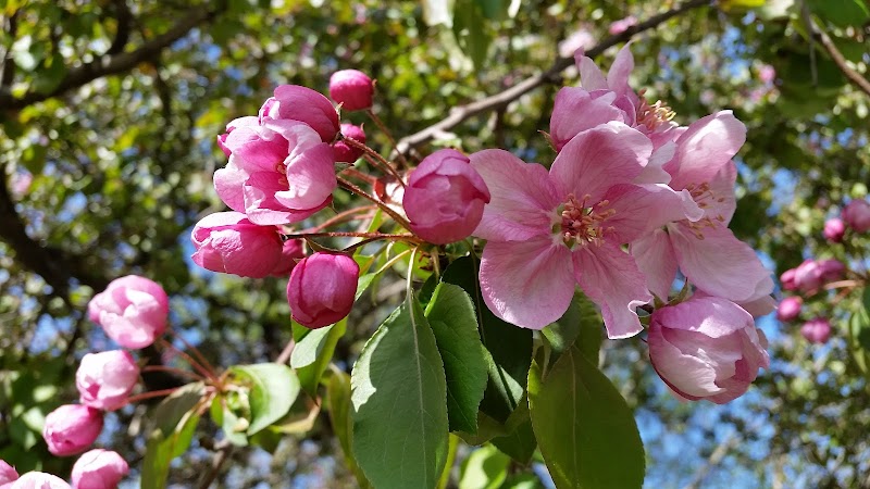 Crocker Park - Lakeland, MN